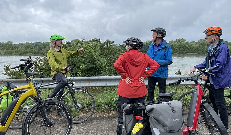 Vier Fahrradfahrende unterwegs am Rhein 