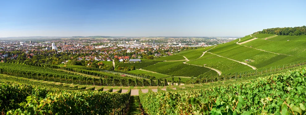 Blick auf Heilbronn mit Weinbergen
