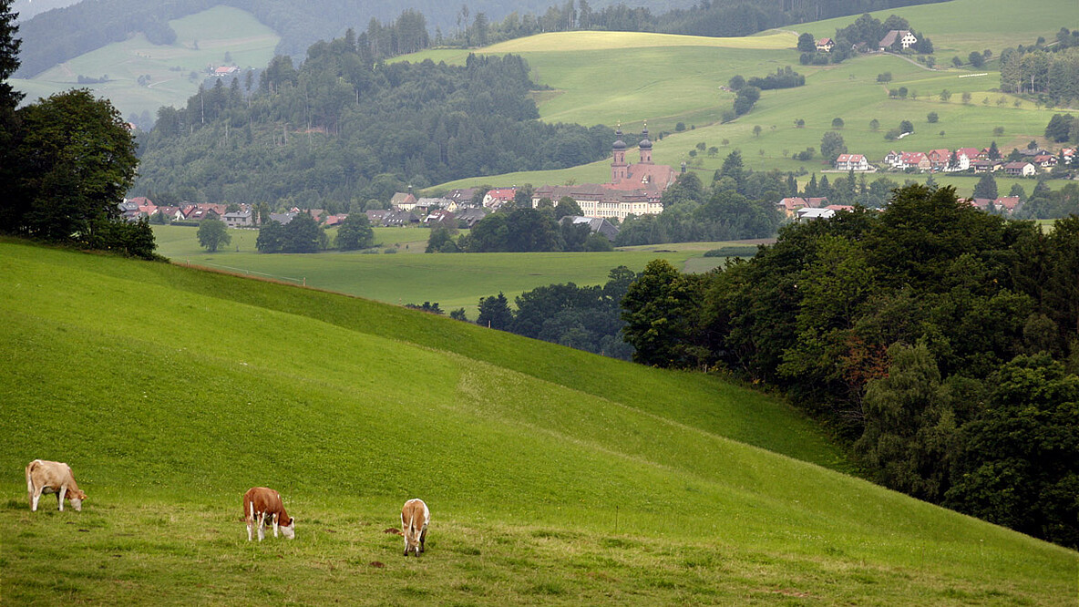 Naturpark Suedschwar 43918772 Rolf Haid dpa