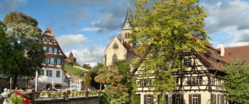 Blick auf Esslingen