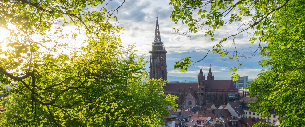 Blick aufs Freiburger Münster.