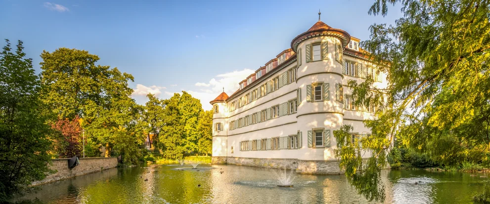 Blick auf Eppingen