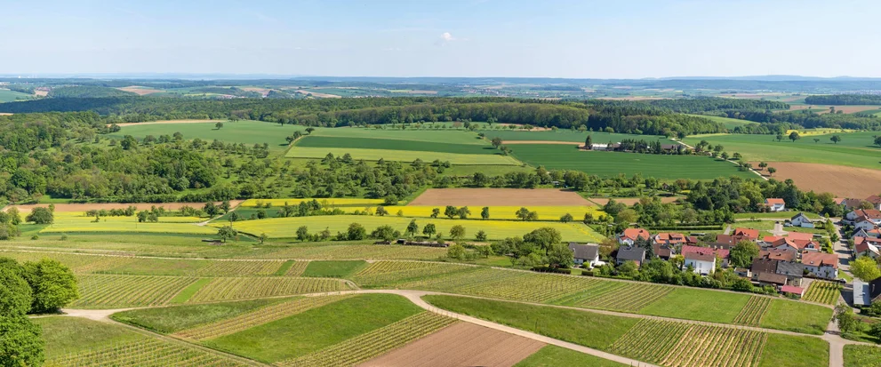 Panorama-Blick auf Felder und Wälder