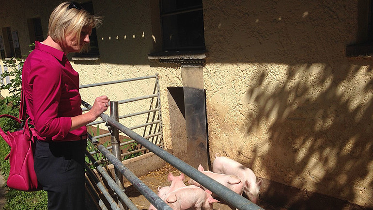 Glückliche Schweine auf dem Biohof; Foto: Grüne Fraktion