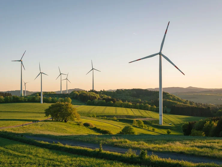 Windkraftanlagen auf dem Feld in einer sommerlichen Abendstimmung.