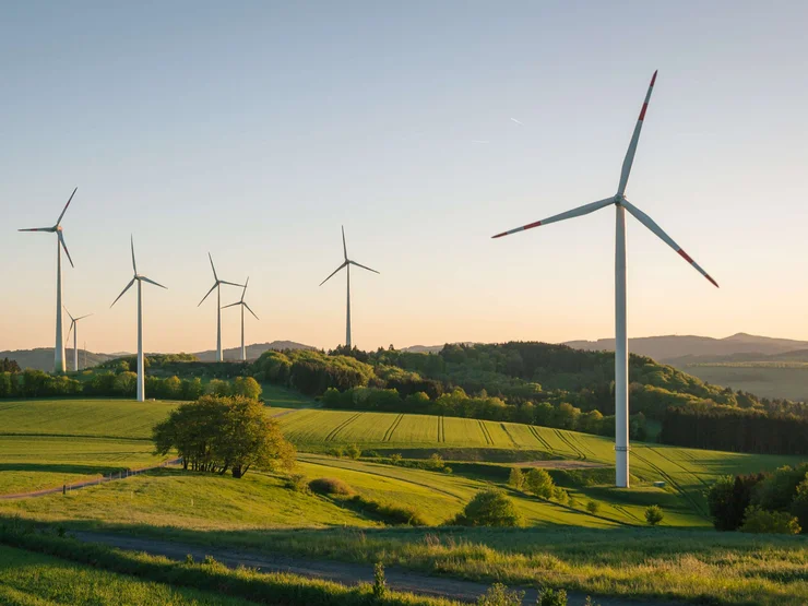 Windkraftanlagen auf dem Feld in einer sommerlichen Abendstimmung.